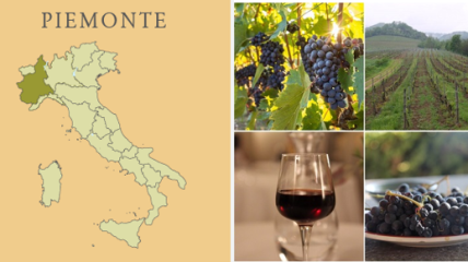 Piemonte - Wijn en Gastronomie